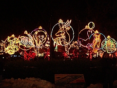 028 Toledo Zoo Light Show [2008 Dec 27]